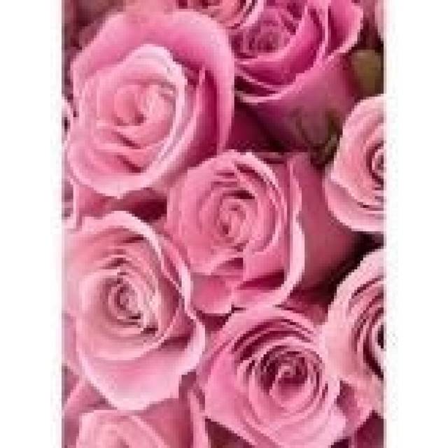 Pink roses - 3d holographic greetings card - age, gift, anyone,