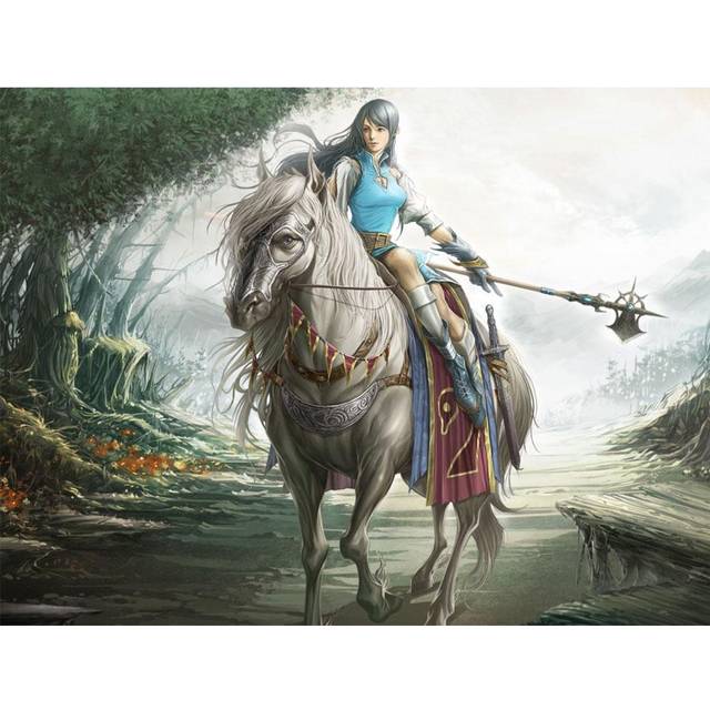5D Diamond Embroidery Painting Paste DIY Diamond Painting Cross Stitch  female Knight  Diamond Mosaic Room Decoration Full Square (20X30CM)