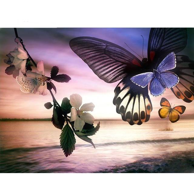 Diamond Painting  Sunset and Butterflies  Embroidery Diamond Cross Stitch Rhinestone Mosaic Decor 20X30CM