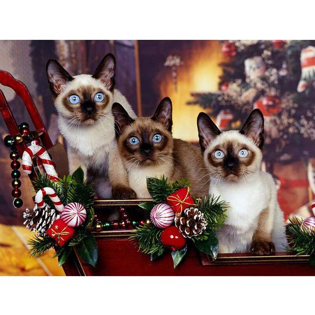 Diamond Painting  Christmas and Cat  Embroidery Round Diamond Cross Stitch Rhinestone Mosaic Decor 20X30CM