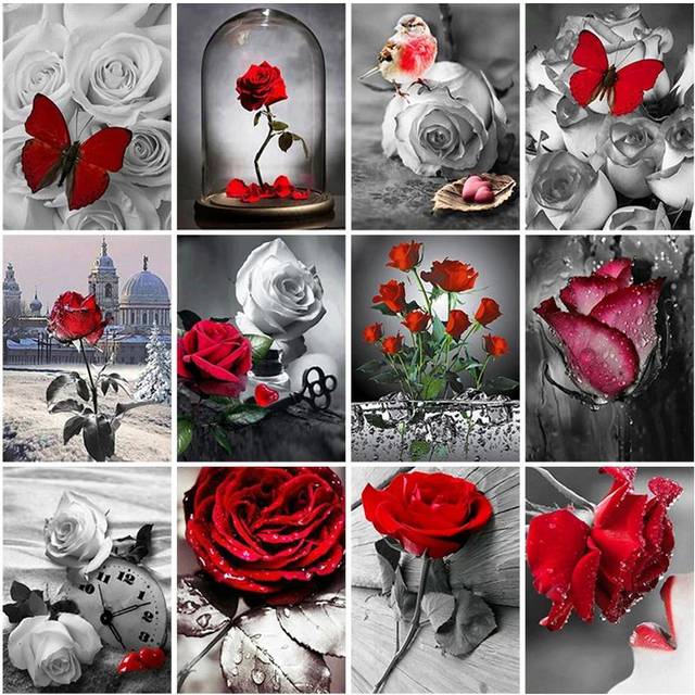 5D Diamond Painting Red Rose Flower Black and White Series Full Circle Square Diamond Inlaid Embroidery Inlaid Home Decoration Full Round 20X30CM red
