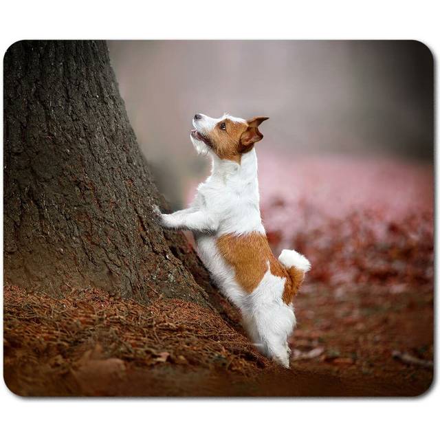 Rectangle mouse mat - jack russell terrier dog woodland 45423