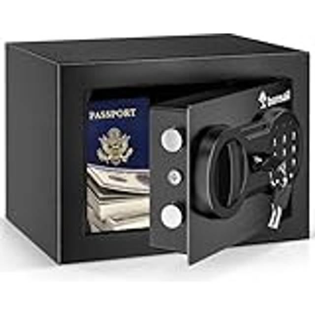 Bonsaii Safe Box for Money, 6.6L Small Safe Box with Electronic Keypad, Steel