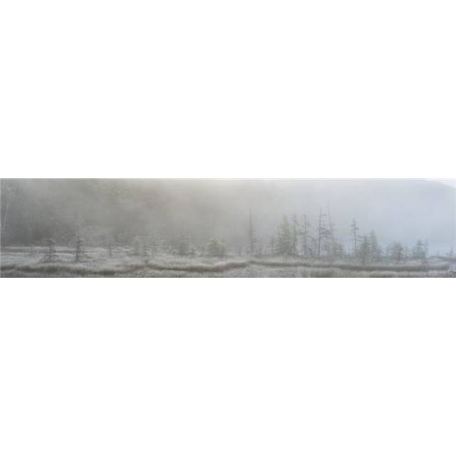 Panoramic View of Early Morning Mist Over A Small Pond Along The Rock Lake Road Algonquin Park - Ontario Canada Poster Print - 44 x 10 in. - Large