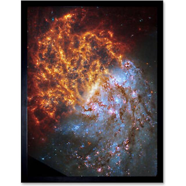 NASA Hubble James Webb Telescope Spiral Galaxy NGC 1087 Framed Art - Black - W12 inch x H16 inch