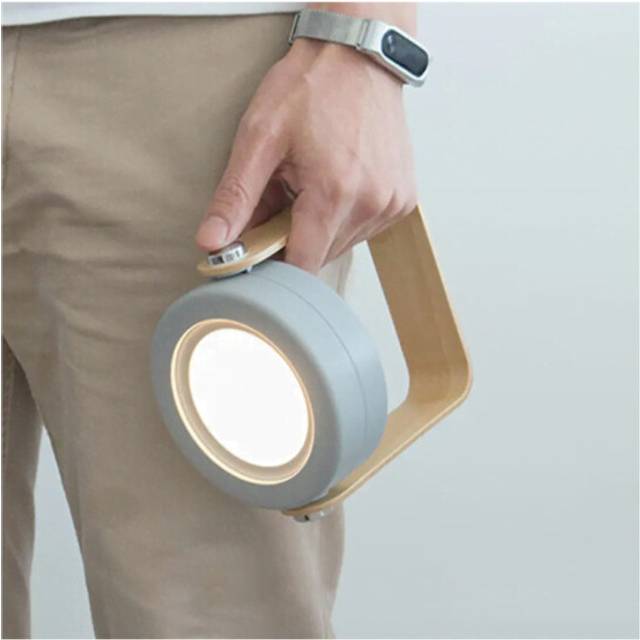 Small Book Light, Cordless Reading Light and Good Study Lamp