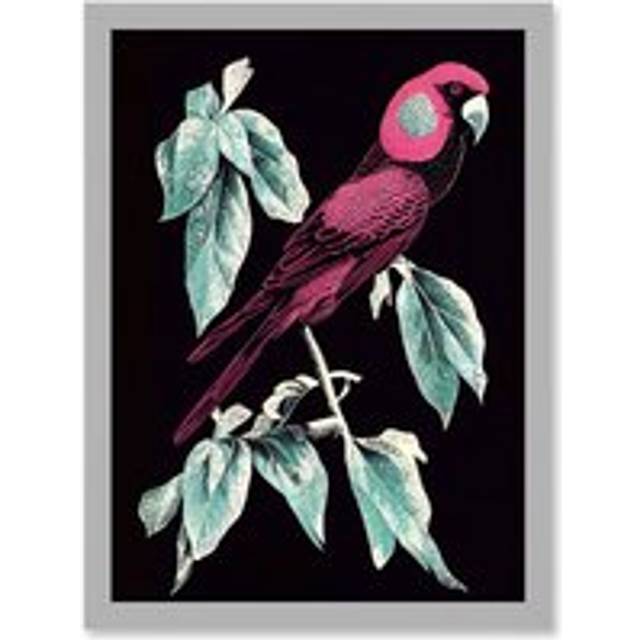 Coral Parrot On Tree Branch Silver Linocut Illustration Modern Vibrant Artwork Framed Wall Art Print A4 - Light Grey - One Size