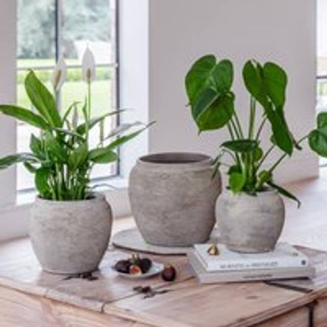 Milos Rustic Terracotta Plant Pot - Grey