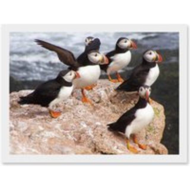Animal North Atlantic Puffins Birds Beach Edge of Ocean Rock Artwork Framed Wall Art Print A4 - White - One Size