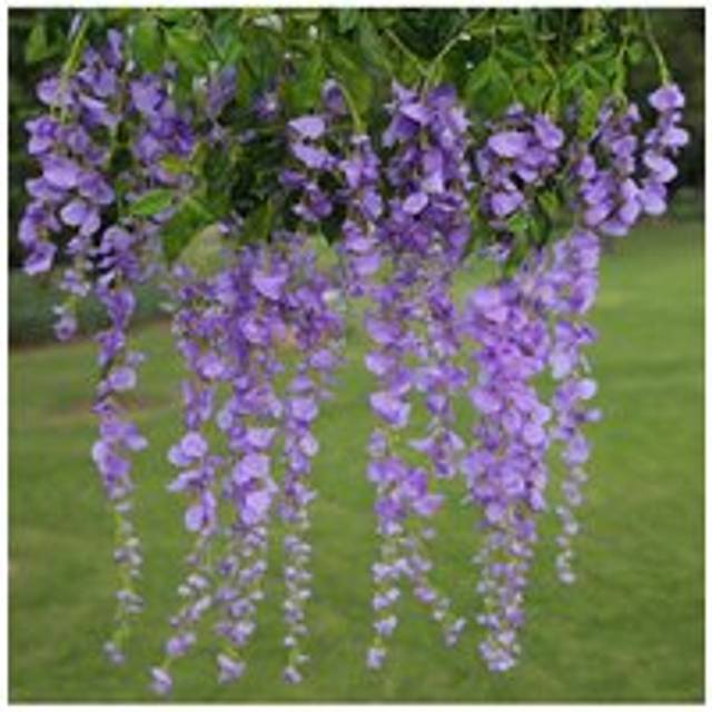 12 Pcs Hanging Artificial Wisteria Vine for Wedding Decoration - Purple - One Size