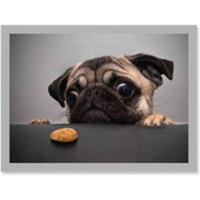 Animal Photo Pug Dog Treat Food Eyes Cute Artwork Framed Wall Art Print A4 - Grey - One Size