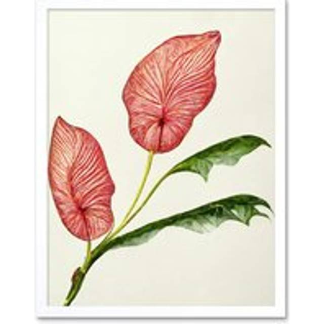 Wall Art Print Pink Laceleaf Tropical Leaf Anthurium Botanical Art Framed - White - W12 inch x H16 inch