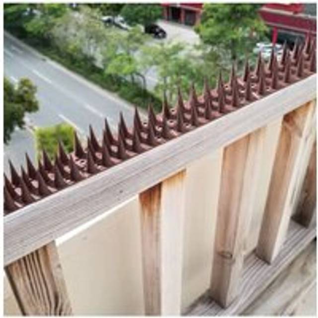 45cm 12 Pack Bird Spikes Deterrent Fence - Brown - One Size
