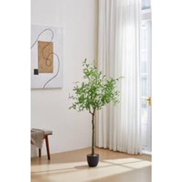 1.75m H Artificial Olive Tree Decorative Plant - Green - One Size