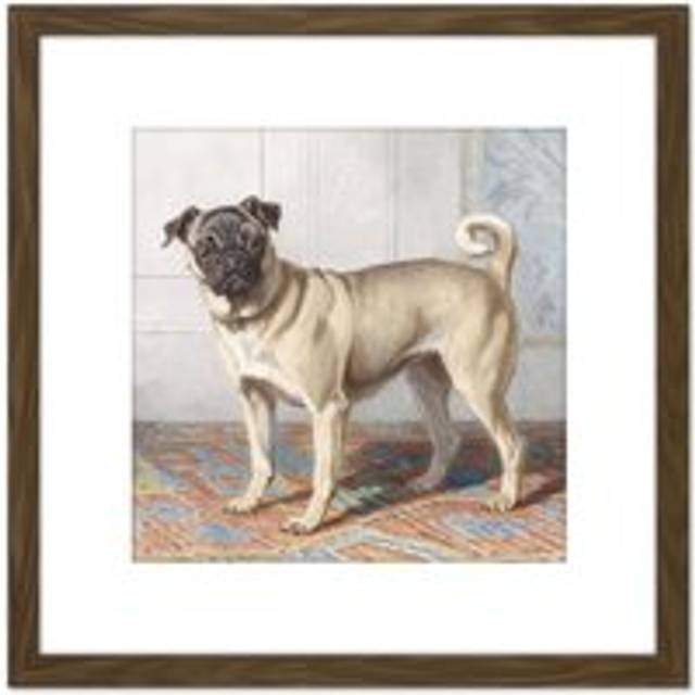 Cunaeus Portrait Edwin Vom Rath's Pug Dog Painting 8X8 Inch Square Wooden Framed Wall Art Print Picture with Mount - Brown - One Size