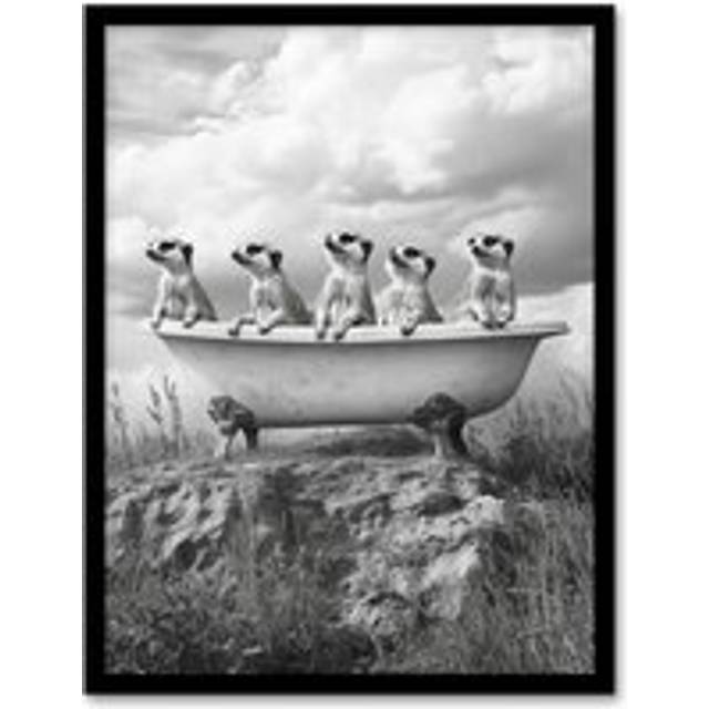 Meerkats in a Bathtub in Desert Black White Photo Framed Art Print - Grey - W12 inch x H16 inch