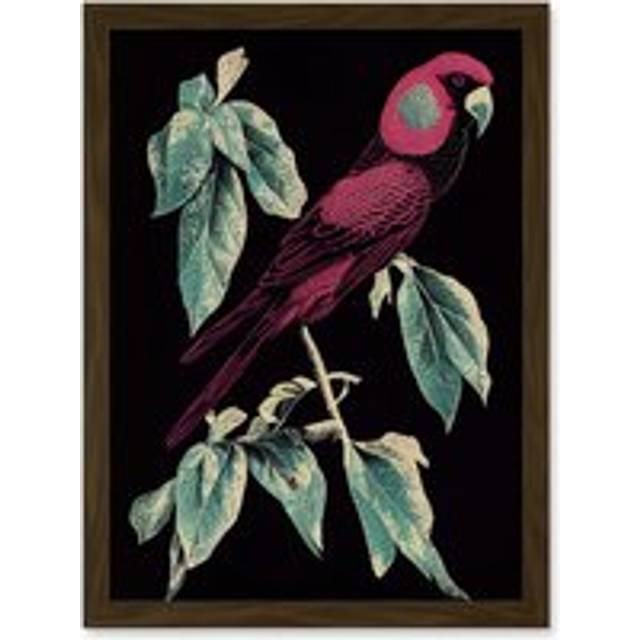 Burgundy Parakeet Retro Modern Vintage Tropical Jungle Artwork Framed Wall Art Print A4 - Brown - One Size