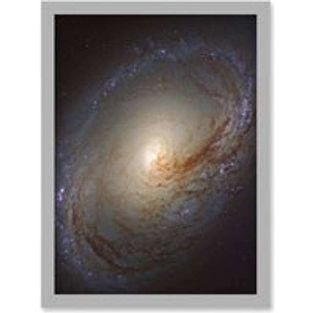 Hubble Space Telescope Image NGC 3368 Orange Blue Galaxy Also Known As Messier 96 Starbirth Occurring Along Dark Dust Gas Filaments Spiral Arms Art Pr - Grey - A4