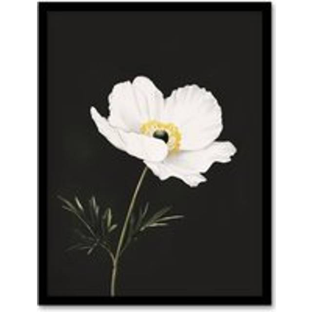 Single White Poppy Anemone Flower Black Floral Framed Wall Art - W12 inch x H16 inch