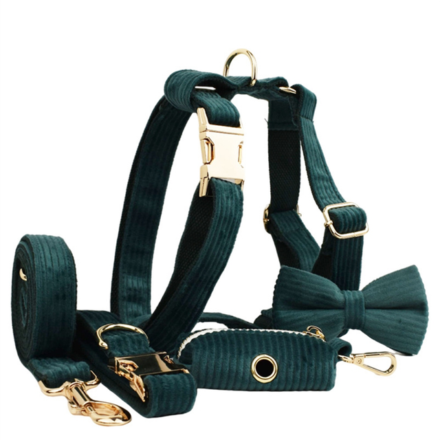 Dark Green Cloth Pet Collar Dog Outdoor Leash M