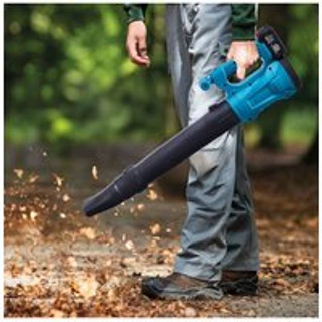 21V Cordless Handheld Leaf Blower with Battery and Charger - Blue
