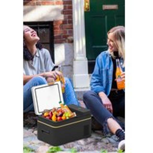 25L Car Fridge Electric Cool Box Portable Compressor Fridge Freezer - Grey - One Size