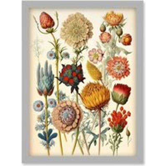 Vintage Botanical Ernst Haeckel Inspired Plant Study Modern Watercolour Painting Illustration Artwork Framed Wall Art Print A4 - Grey - One Size