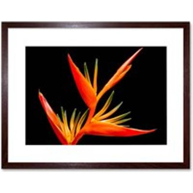 Wall Art Print Bird of Paradise Flower Framed - Brown - W7 inch x H9 inch