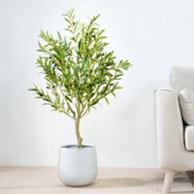 Mcc Direct - Decorative Artificial Olive Tree with Plastic Planter and Artificial Moss 100cm