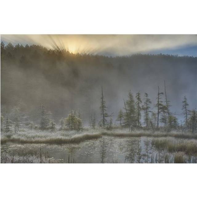 Early Morning Mist Over A Small Pond Along The Rock Lake Road As Sun Shines Through The Fog Algonquin Park Poster Print - 38 x 24 in. - Large