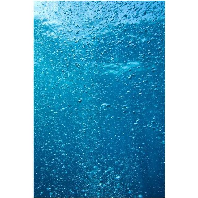 Bubbles Underwater Poster Print, Large - 24 x 36