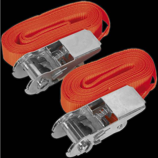 Sealey TD05045E Self-Securing Ratchet Tie Down 25mm x 4.5m 500kg L...