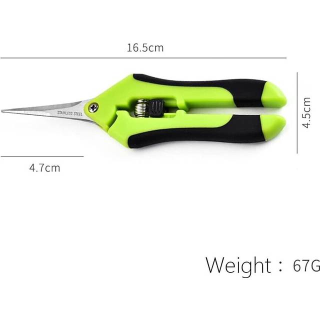Professional gardening scissors with a straight tip for picking up fruits, trees and flowers
