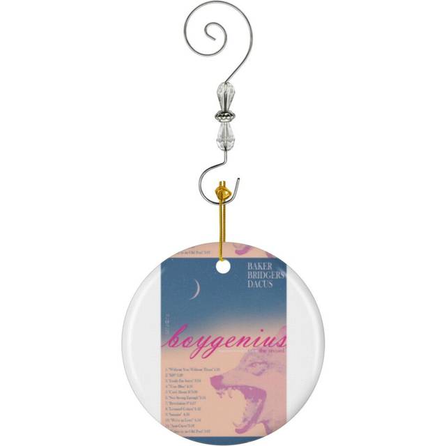 (Thevrbfghbg The Evolution Of A Band_3216) Christmas Ornaments Ceramic with Crystal Hook Xmas Handmade Tree Decorations KeepsakeÂGifts Stocking Stuff