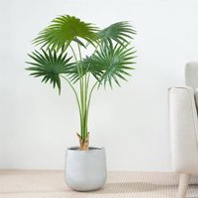 Mcc Direct - Decorative Artificial Fan Palm Tree with Plastic Planter and Artificial Moss 100cm