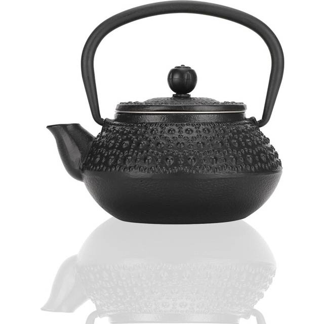 Cast Iron Teapot,300ml Japanese Teapot with Infuser,Tea Kettle for Stove Top Japanese Tetsubin Tea Kettle Stove Top Teapots with Removable Stainless