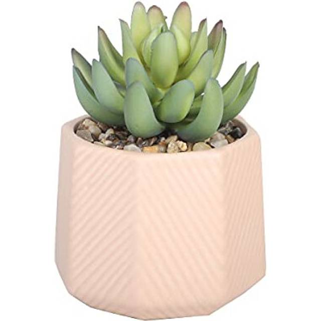 Sleepdown Halo Green Artificial Faux Plant Succulent Pink Geo Pot for Home Office Bathroom Decor Indoor Decoration Aesthetics