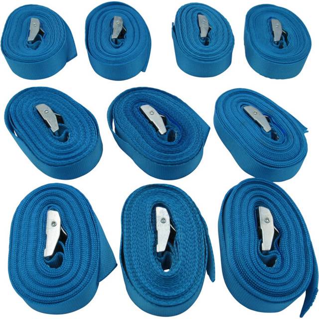 Cam Buckle Tie Down Straps 25MM 250KG 5 Metre x10 (Lashing Strap Secure Hold)