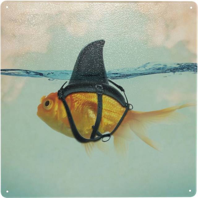 "(Goldfish With A Shark Fin=10291) Metal Tin Sign 12x12"" Wall DÃ©cor Cafe Bar Beer Pub Signs Christmas Gift"