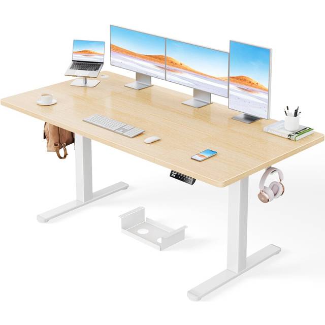 ErGear Electric Standing Desk-160 x 80 cm-100kg Load Capacity Height Adjustable Desk with Advanced Brushless Motor, Quiet Operation, Sturdy Metal