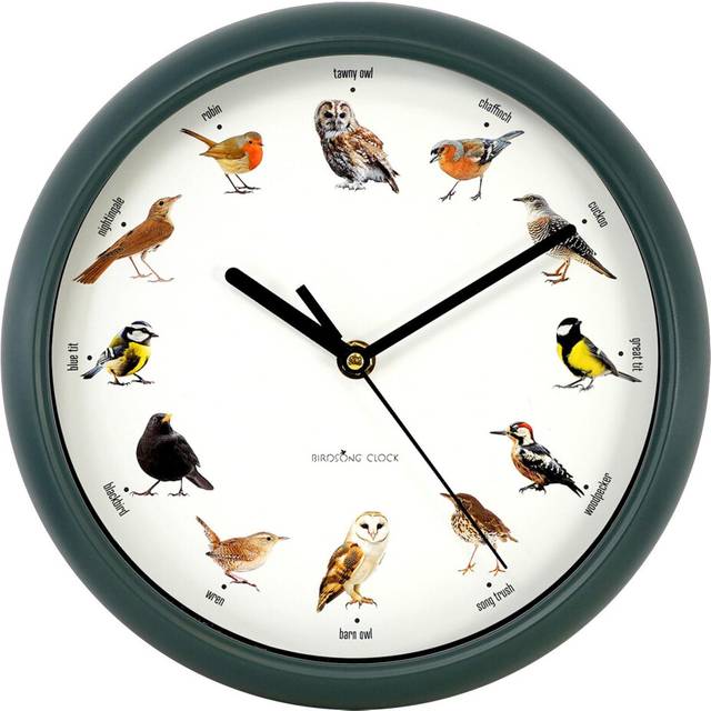 GEEZY Chiming Bird Wall Clock Cuckoo Hanging Talking Singing Clock 12 Bird Species