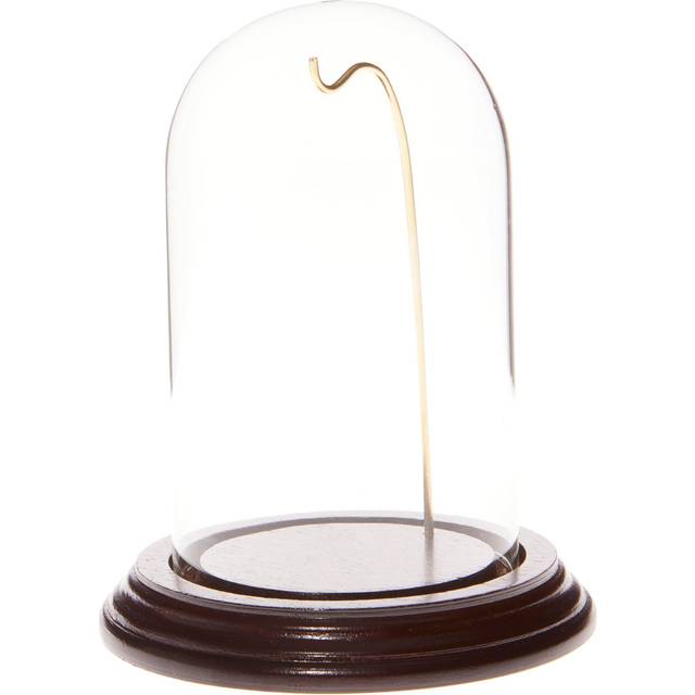 "Plymor 3"""""""" x 5"""""""" Watch Glass Display Dome Cloche (Dark Mahogany Veneer Base & Gold Wire)"
