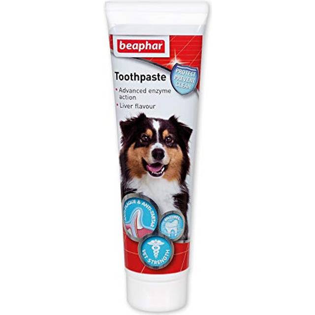 Beaphar Toothpaste for Dogs And Cats, 100g