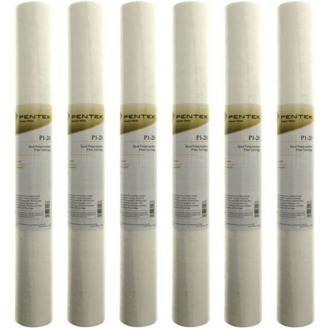 Pentek Whole House Filter Replacement Cartridge - 20 in.