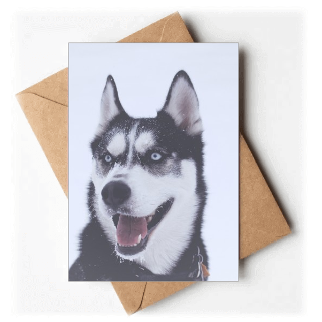 big dog snow hupicture greeting cards you are invited invitations
