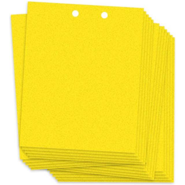 Sticky Traps for Flying Plant Insect Fungus Gnats 20pcs Dual-Sided Flying Insect Traps can 20X25cm yellow