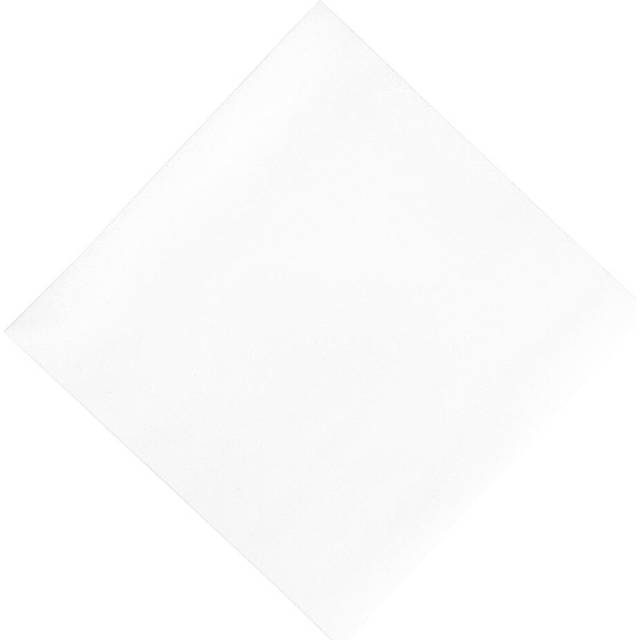 Duni Compostable Dinner Napkins White 400mm (Pack of 720)