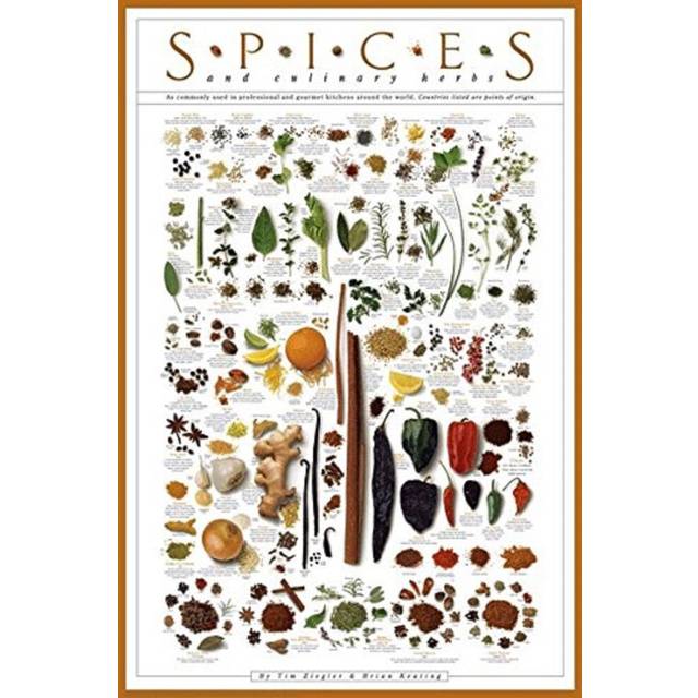 Picture Peddler Laminated Spice Poster Print Culinary Herbs 24x36