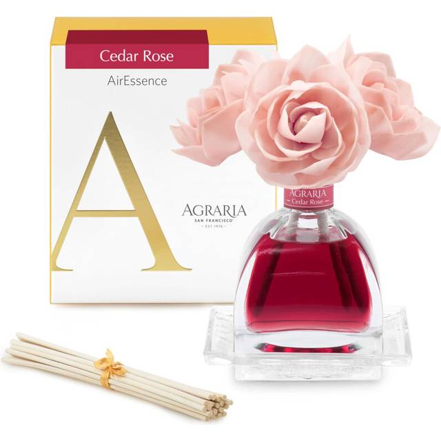 AGRARIA AirEssence Flower and Reed Diffuser Set  Hand Crafted Sola Flower Botanical Home Fragrance Diffuser  Scented Oil Reed Diffuser  Flower and Ree
