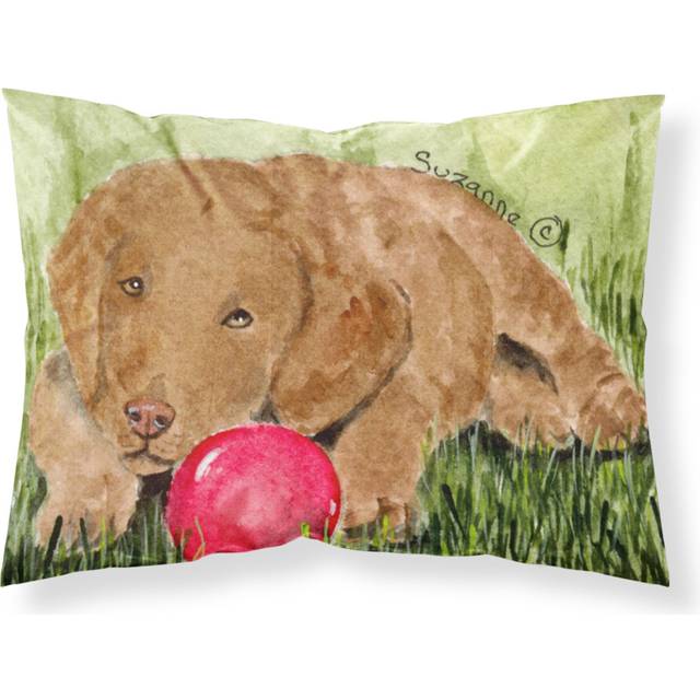 """""Caroline's Treasures SS8684PILLOWCASE Curly Coated Retriever Moisture Wicking Fabric Standard Pillowcase  Large  Multicolor"""""